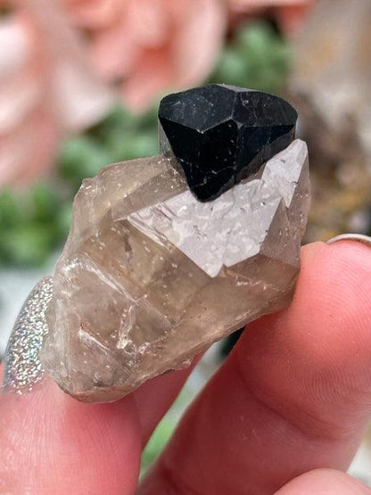 Namibia Smoky Quartz