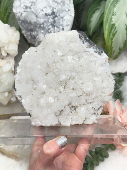 Apophyllite Displays