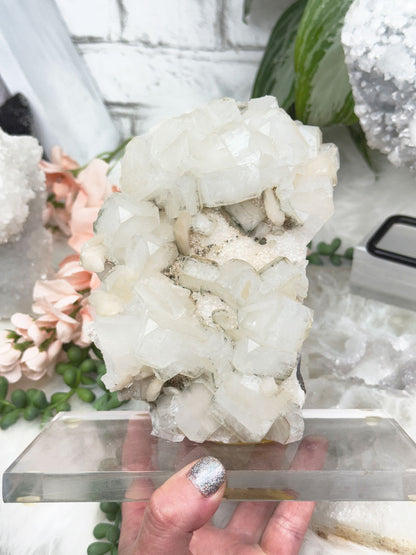 Apophyllite Displays