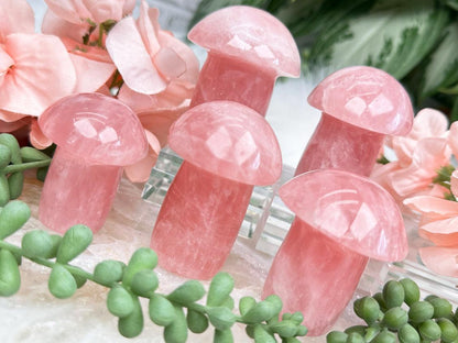 Rose Quartz Mushrooms