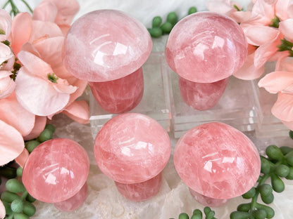 Rose Quartz Mushrooms