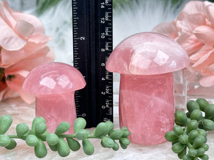 Rose Quartz Mushrooms