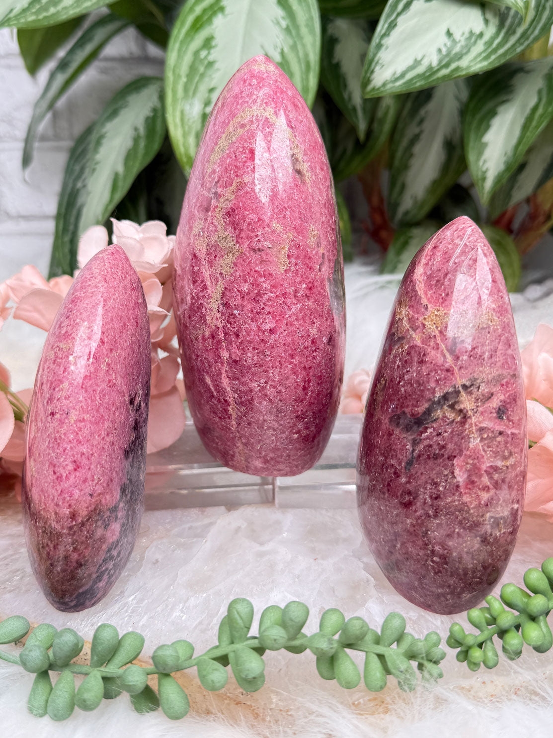 Rhodonite Freeforms (A Grade)