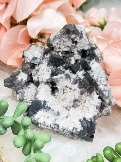 UV Reactive Diana Maria Fluorite