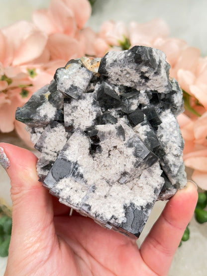 UV Reactive Diana Maria Fluorite