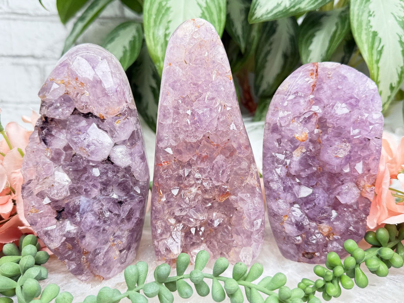 Raw Amethyst Freeforms