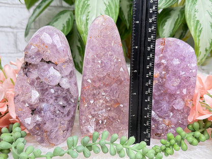Raw Amethyst Freeforms