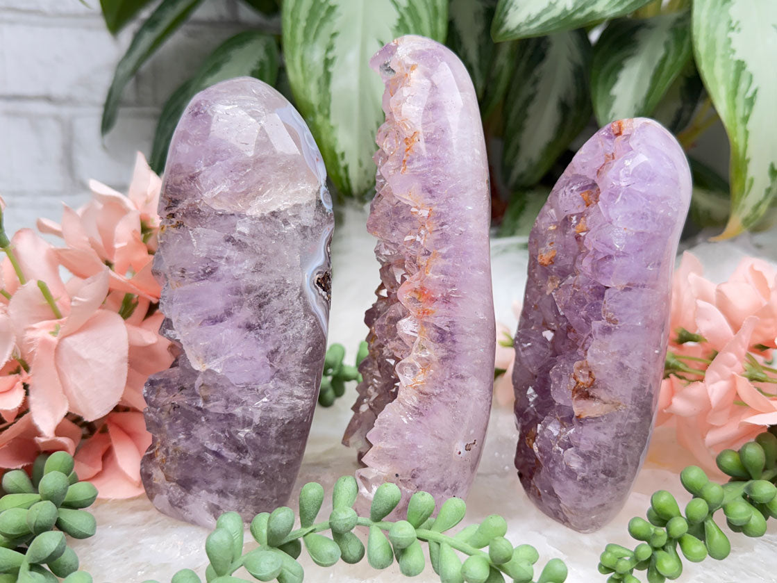 Raw Amethyst Freeforms