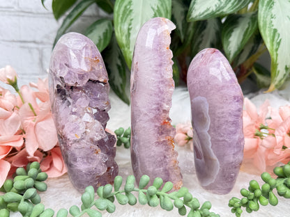 Raw Amethyst Freeforms