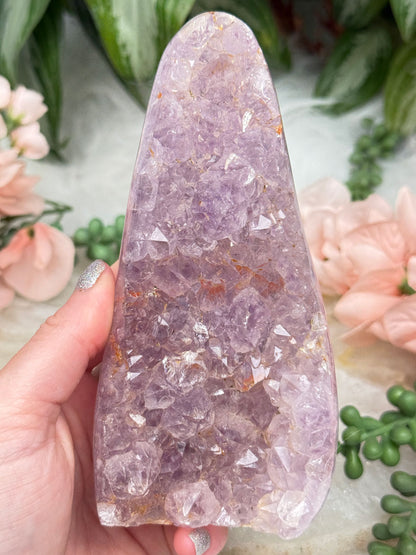 Raw Amethyst Freeforms