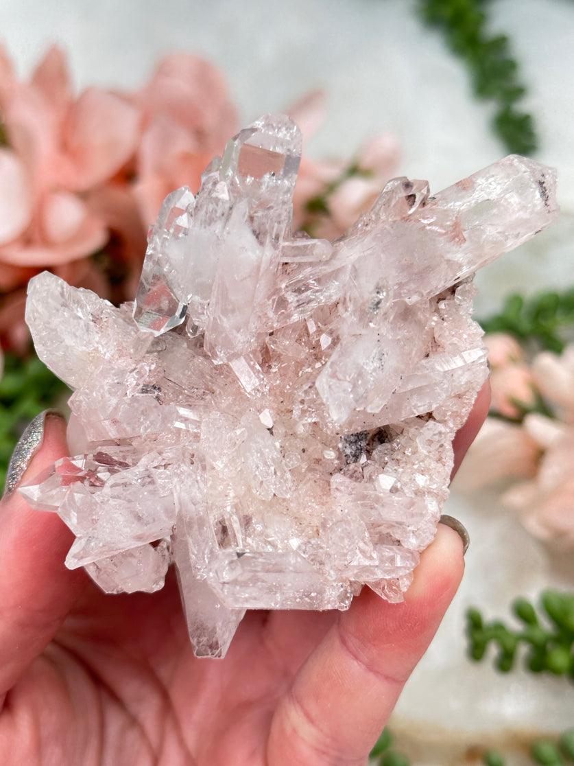 Himalayan Pink Quartz Crystal Cluster Small