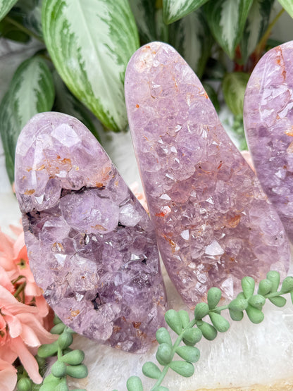 Raw Amethyst Freeforms