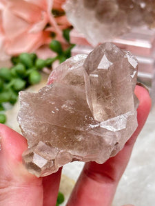 Contempo Crystals - small-smoky-quartz-cluster-for-sale - Image 11