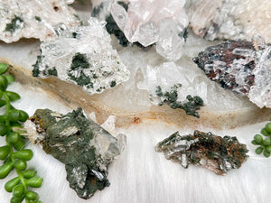 Contempo Crystals - Green Chlorite Colombian Quartz - Image 5