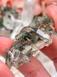Contempo Crystals - Green Chlorite Colombian Quartz - Image 29