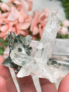 Contempo Crystals - Green Chlorite Colombian Quartz - Image 16