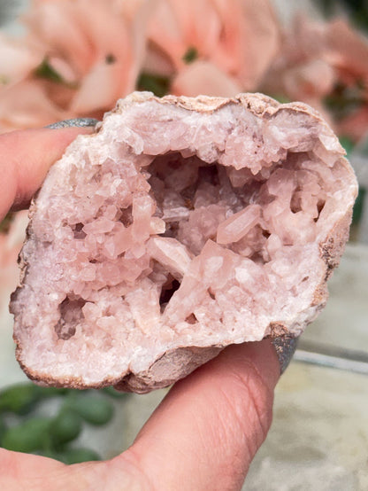 Argentina Pink Amethyst Geodes