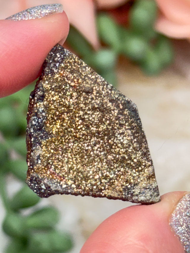 Small Russian Rainbow Pyrite
