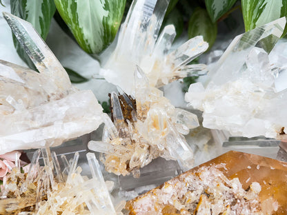 Colombian Quartz With Limonite