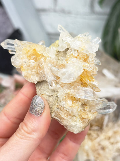 Colombian Quartz With Limonite