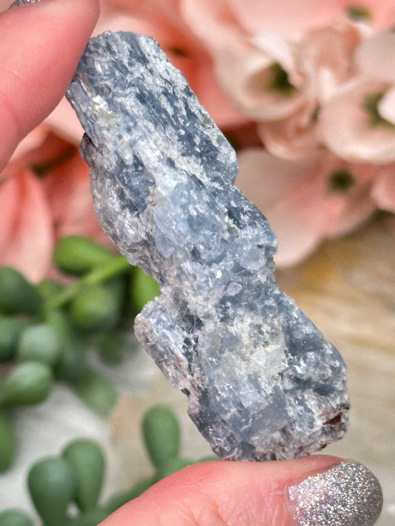 Small Blue Kyanite