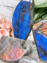 Load image into Gallery: Contempo Crystals - Standing Labradorite Freeforms - Image 12