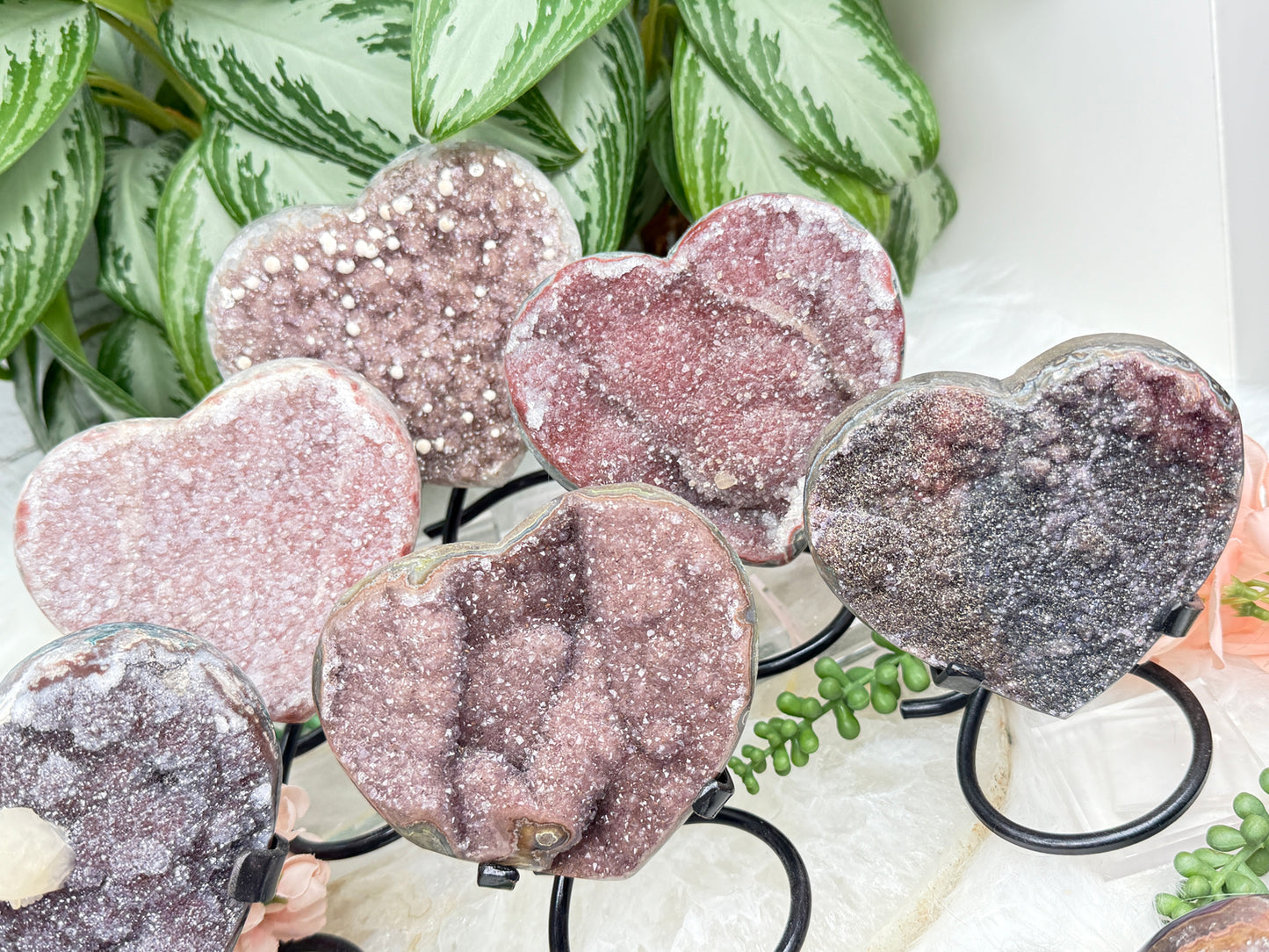 Uruguayan Amethyst Hearts