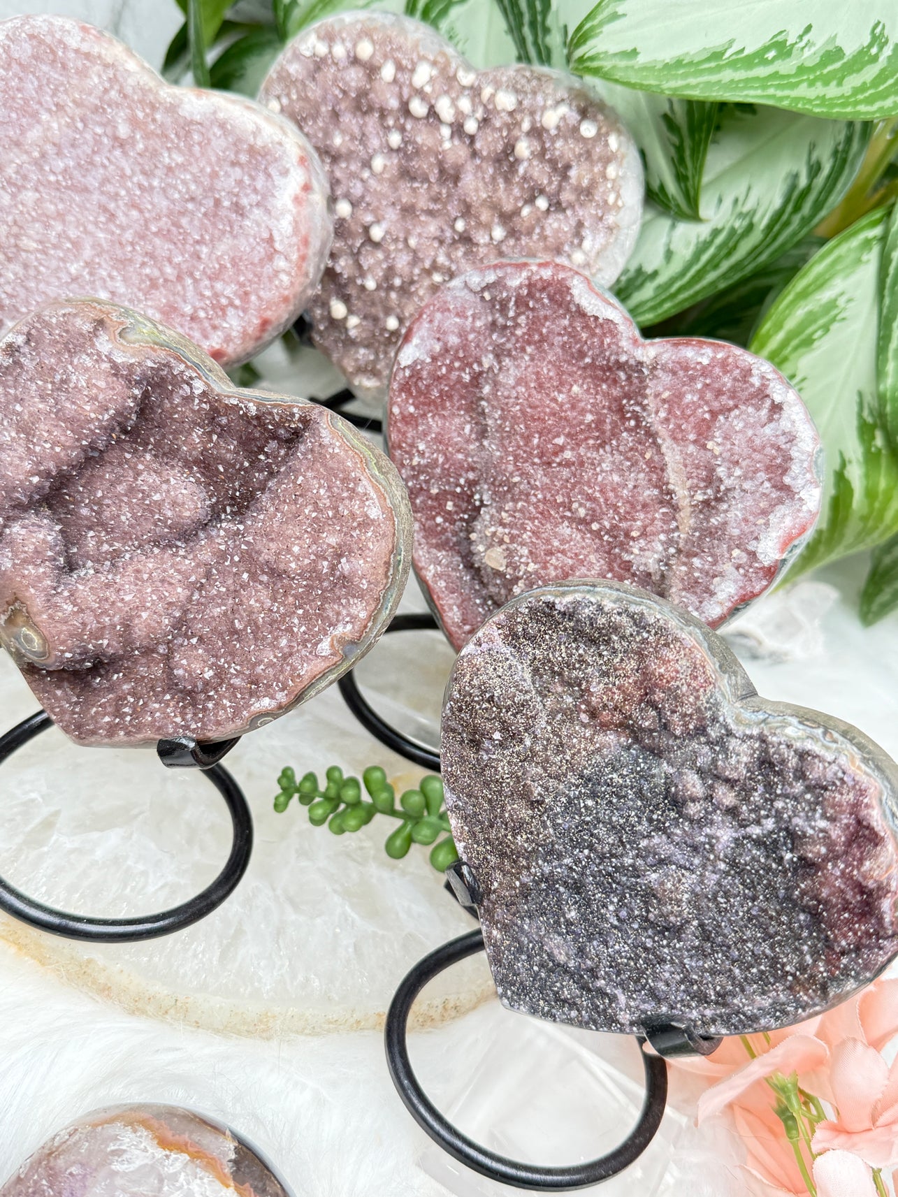 Uruguayan Amethyst Hearts