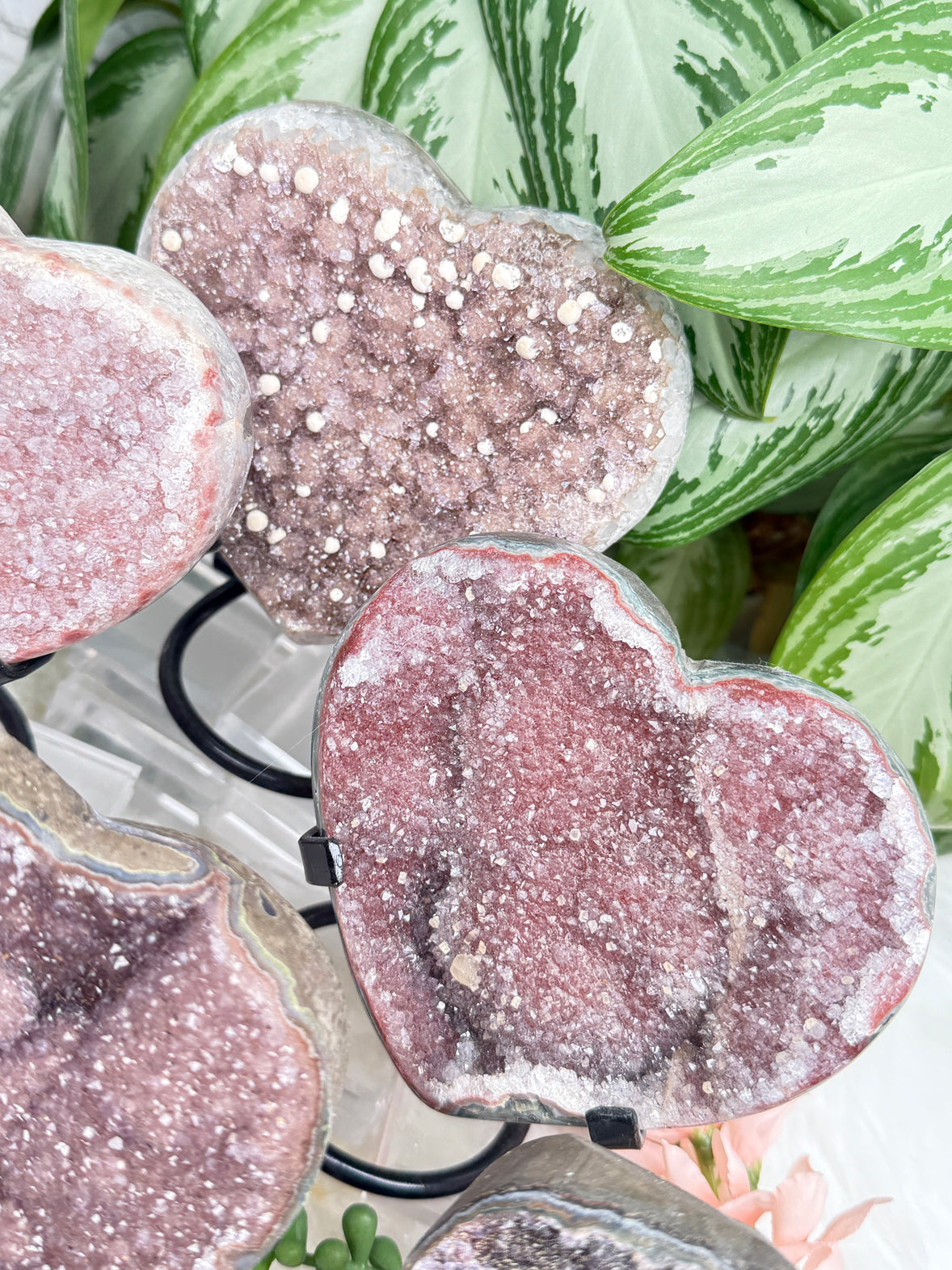 Uruguayan Amethyst Hearts