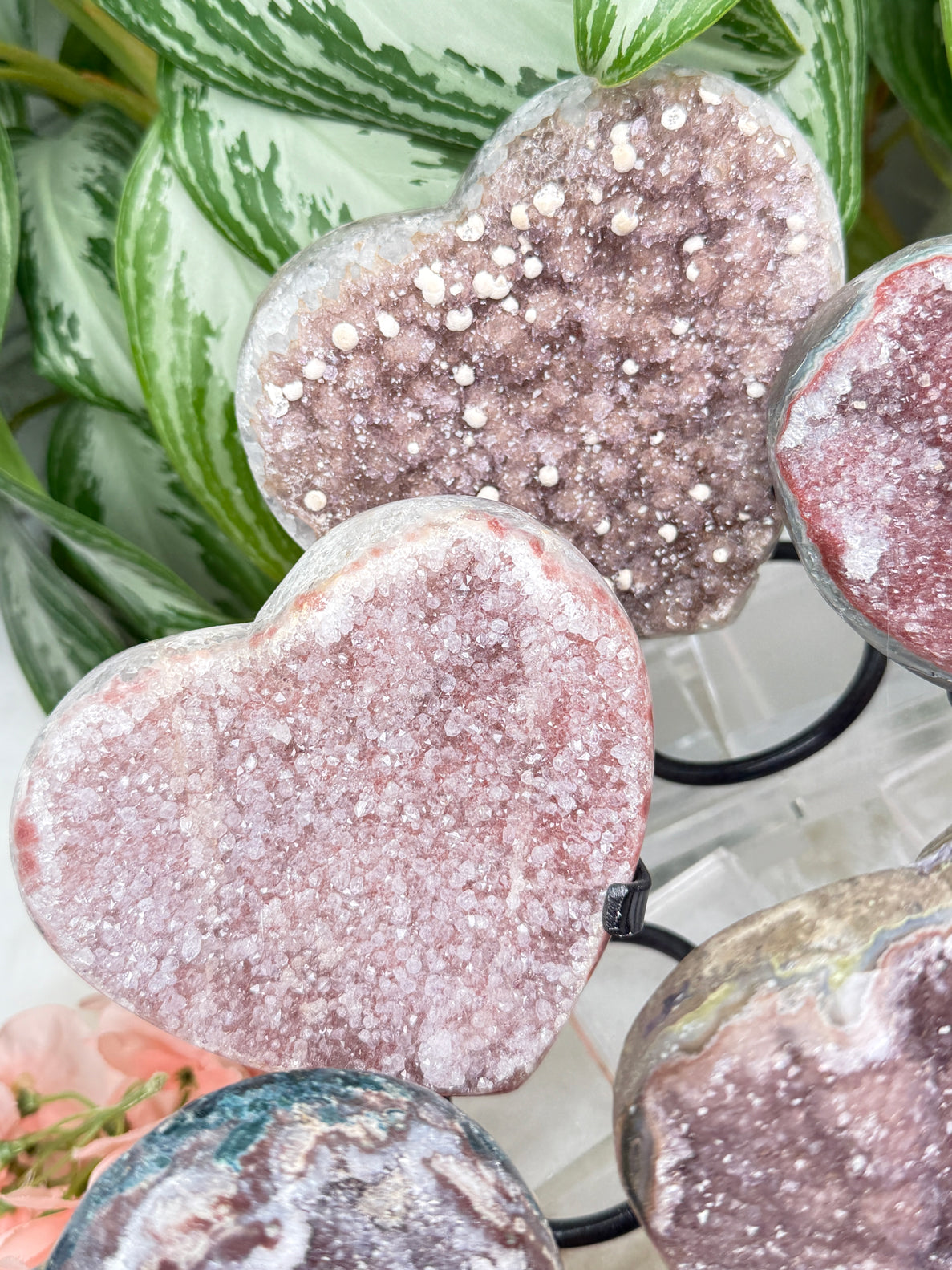 Uruguayan Amethyst Hearts