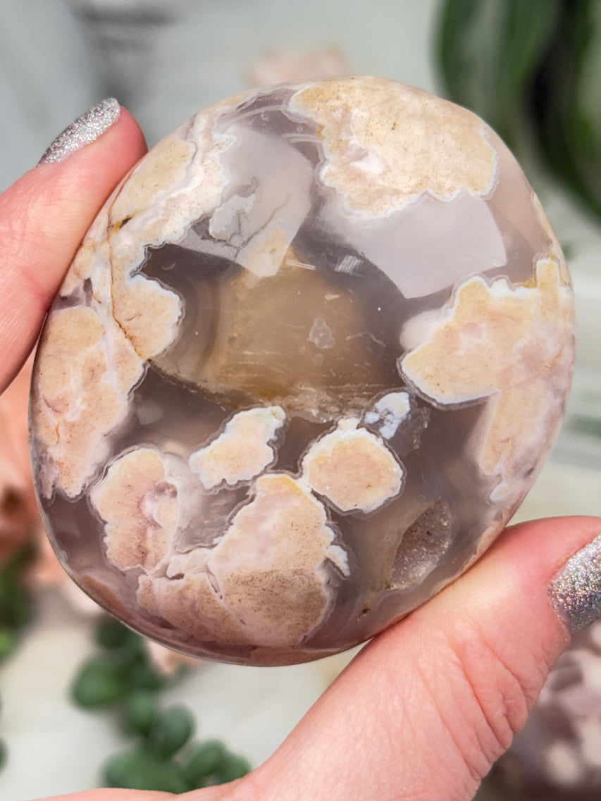 Flower Agate Palms