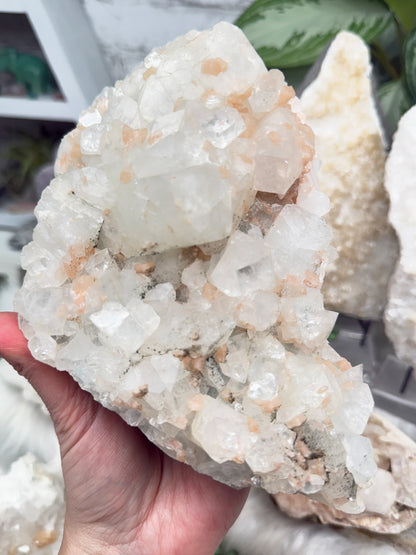 Apophyllite Stilbite Mixes