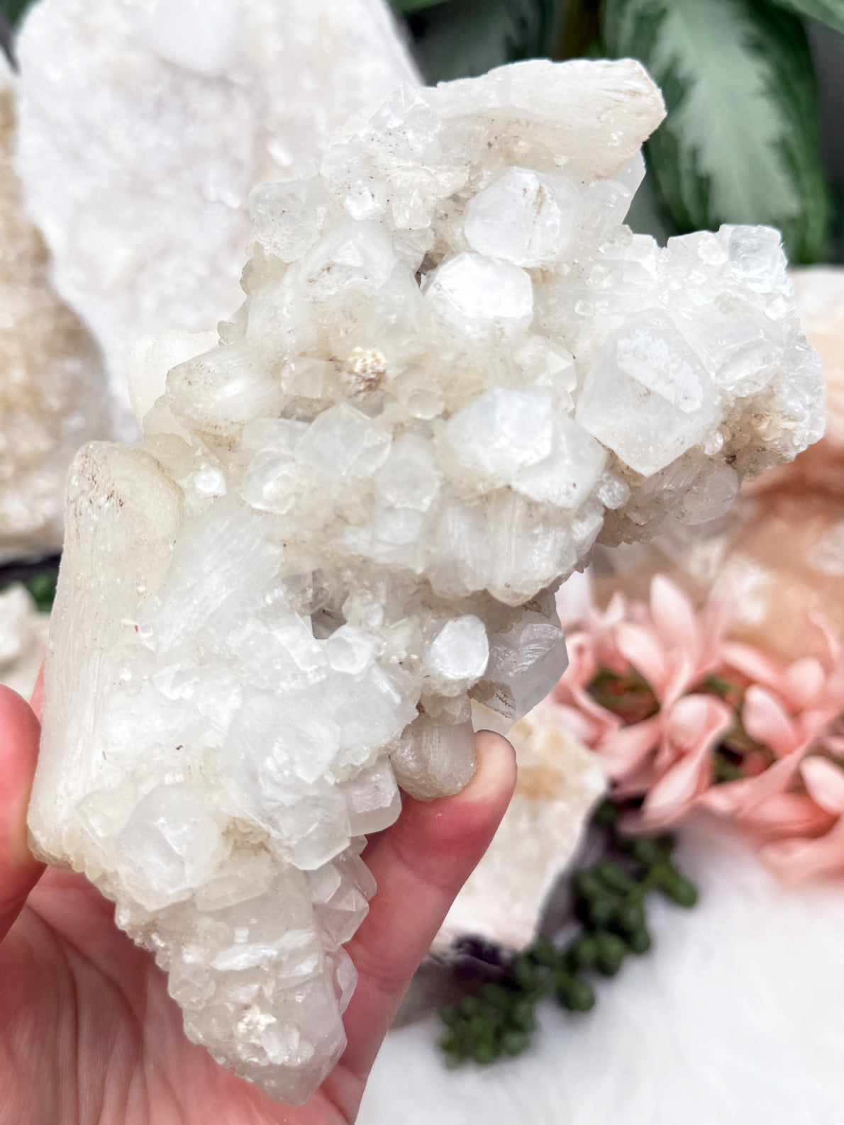 Apophyllite Stilbite Mixes