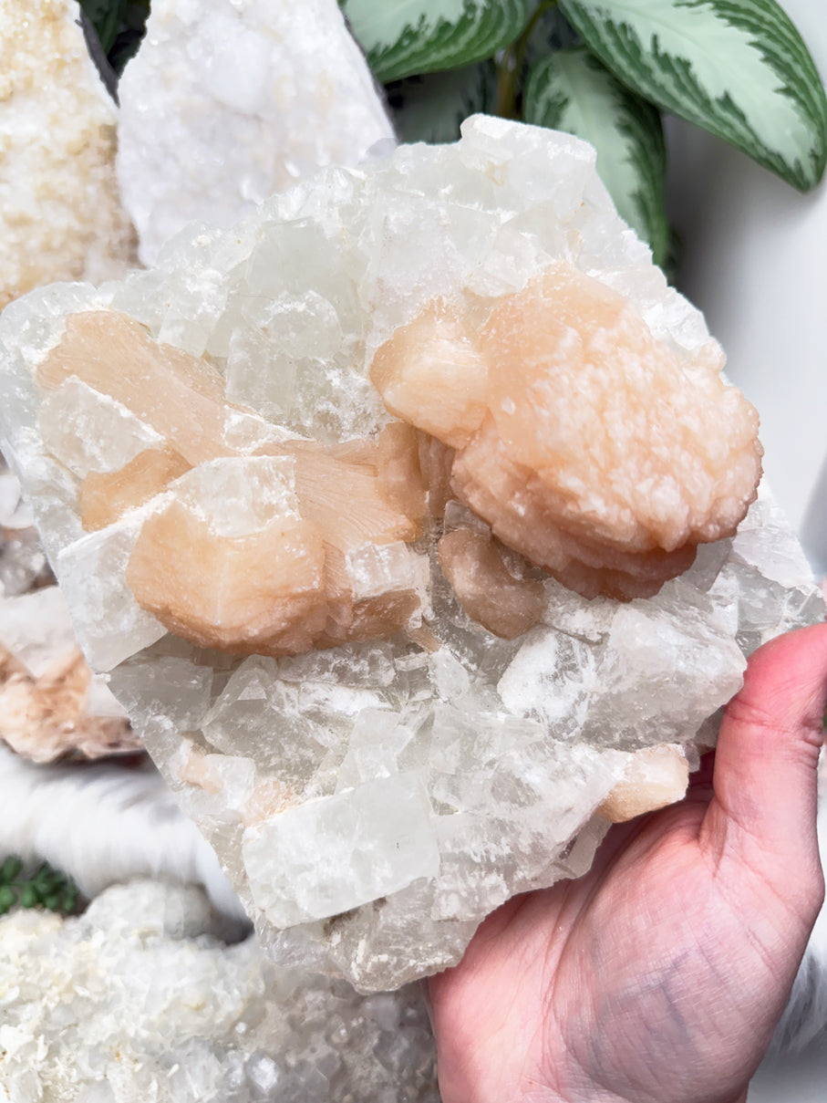 Apophyllite Stilbite Mixes