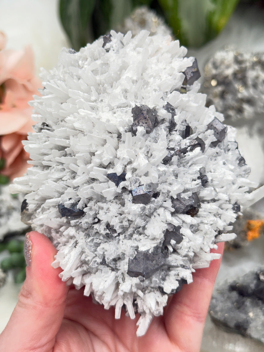 Peru Pyrite on Quartz