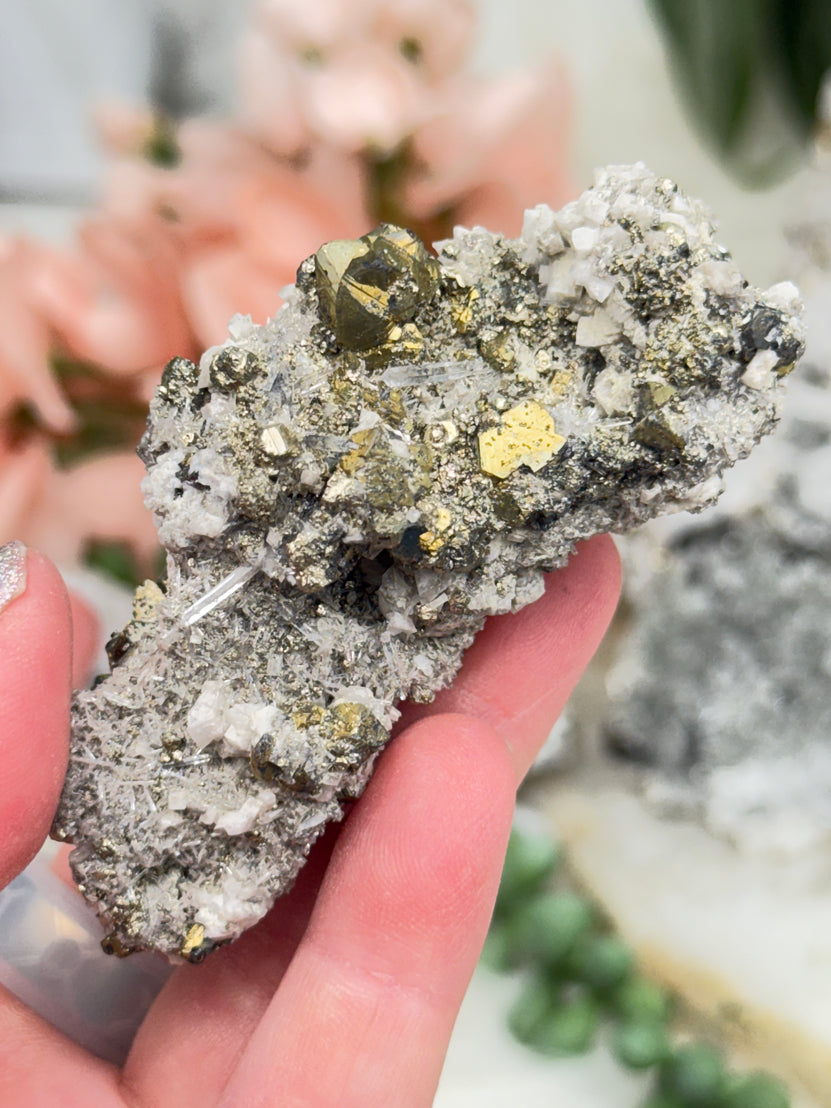 Peru Pyrite on Quartz