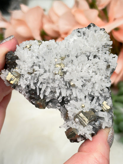 Peru Pyrite on Quartz