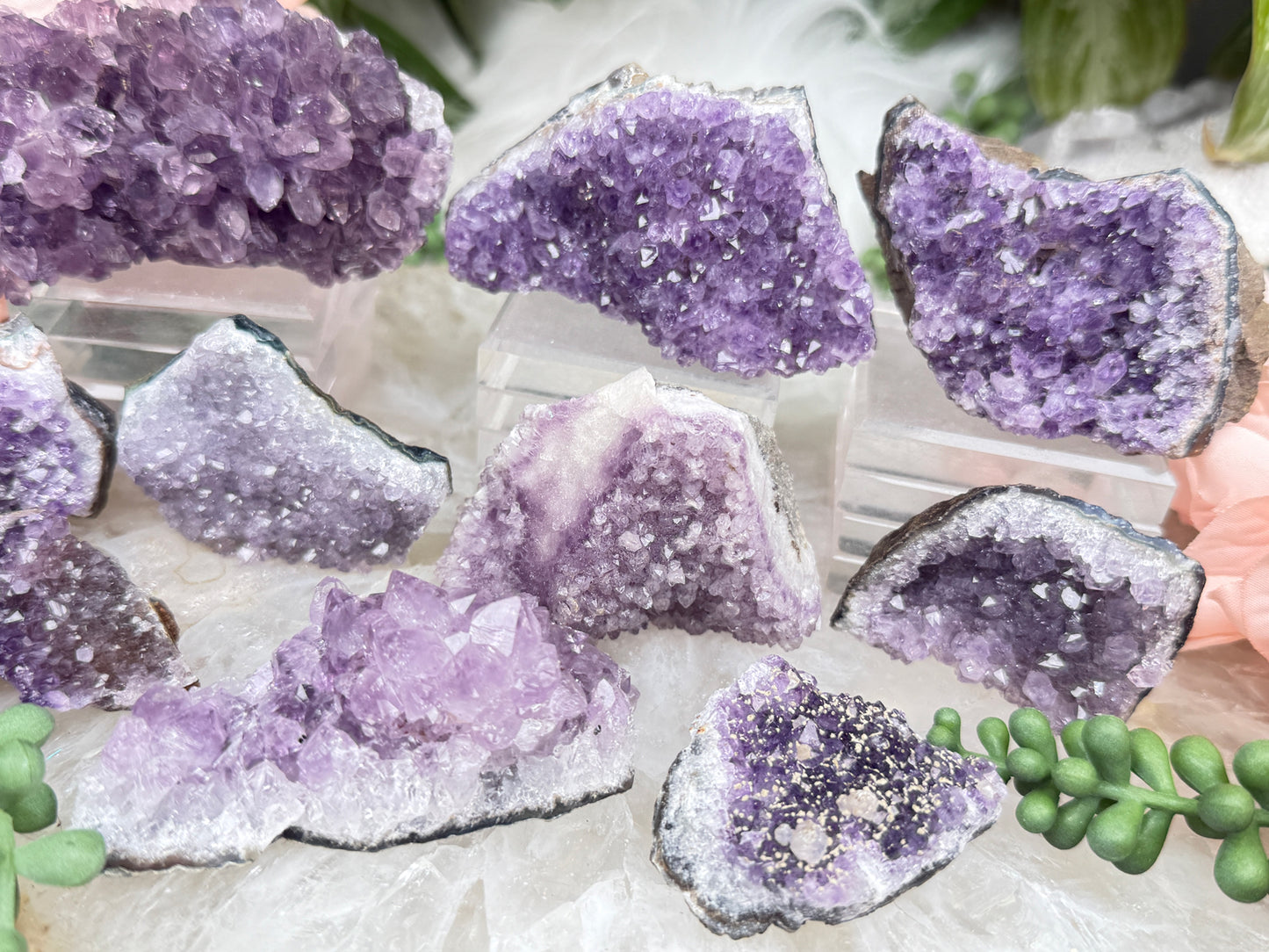 Small Amethyst Clusters