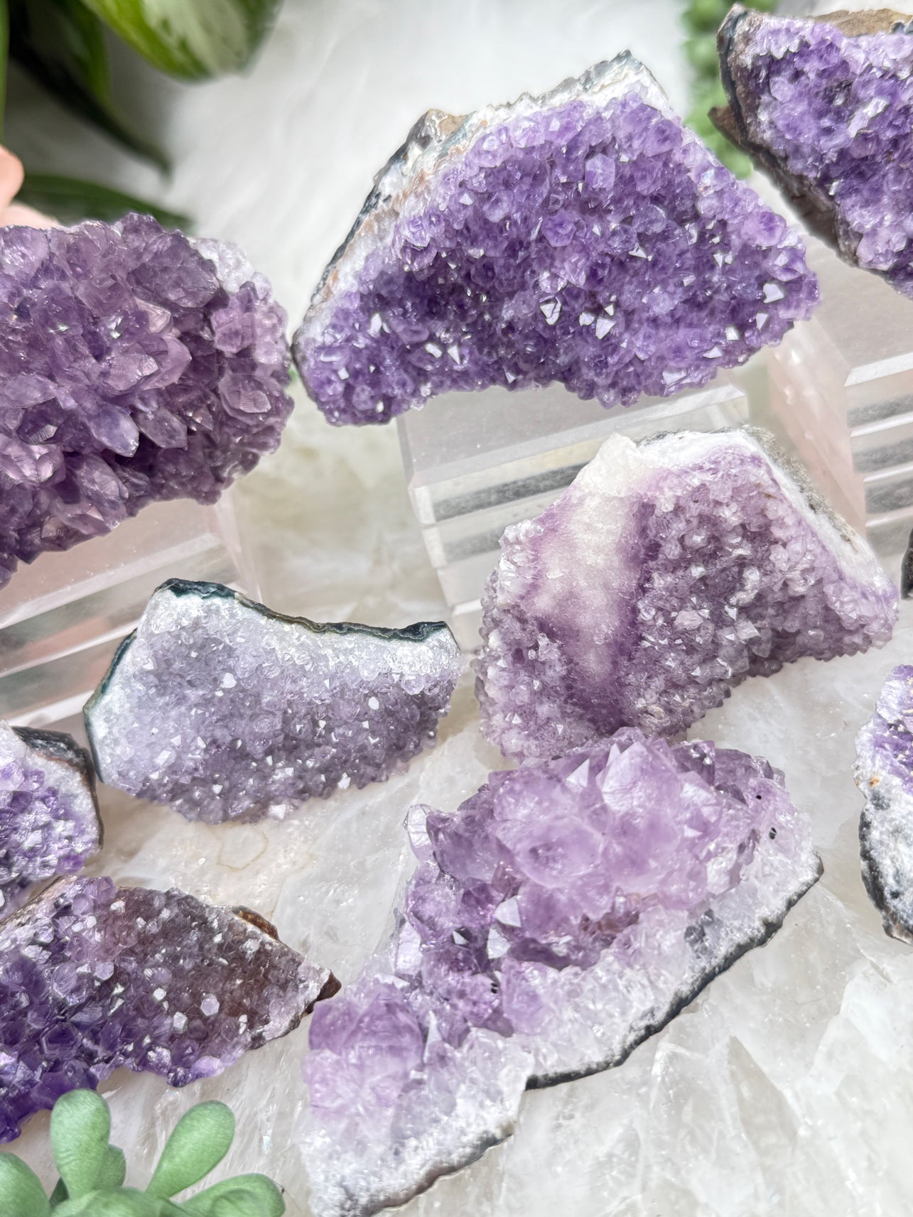 Small Amethyst Clusters