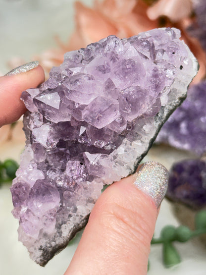 Small Amethyst Clusters
