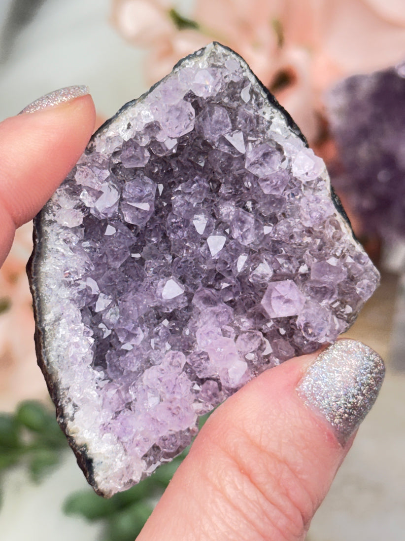 Small Amethyst Clusters