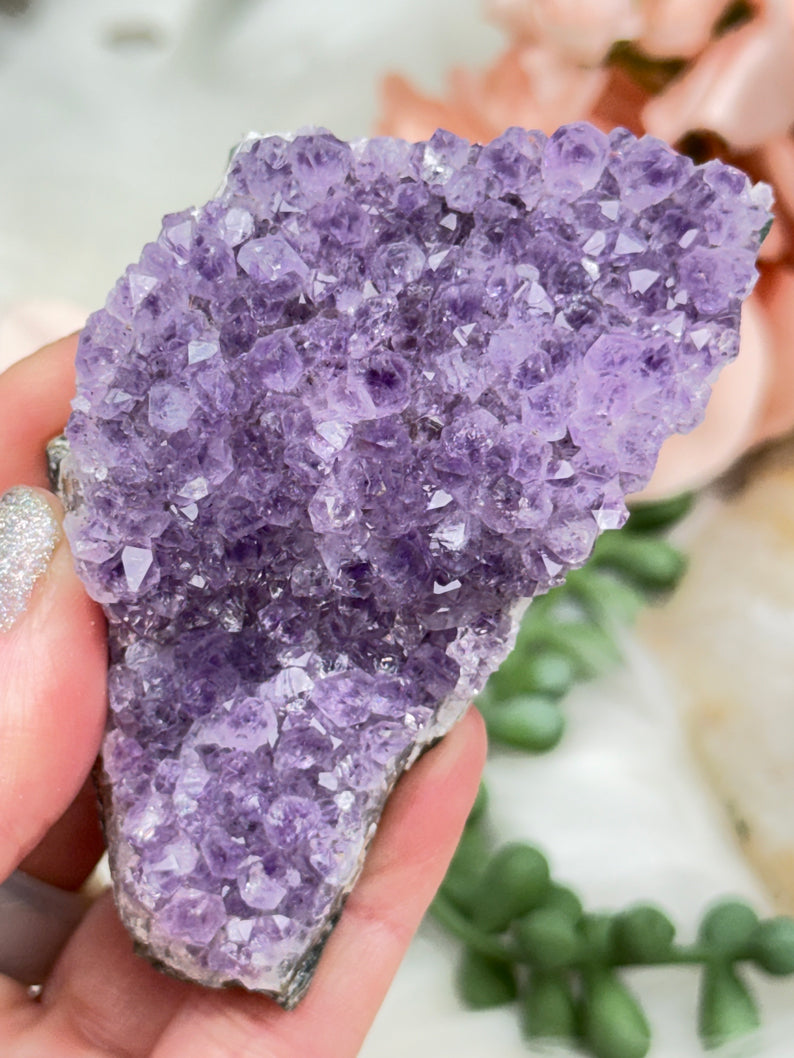 Small Amethyst Clusters