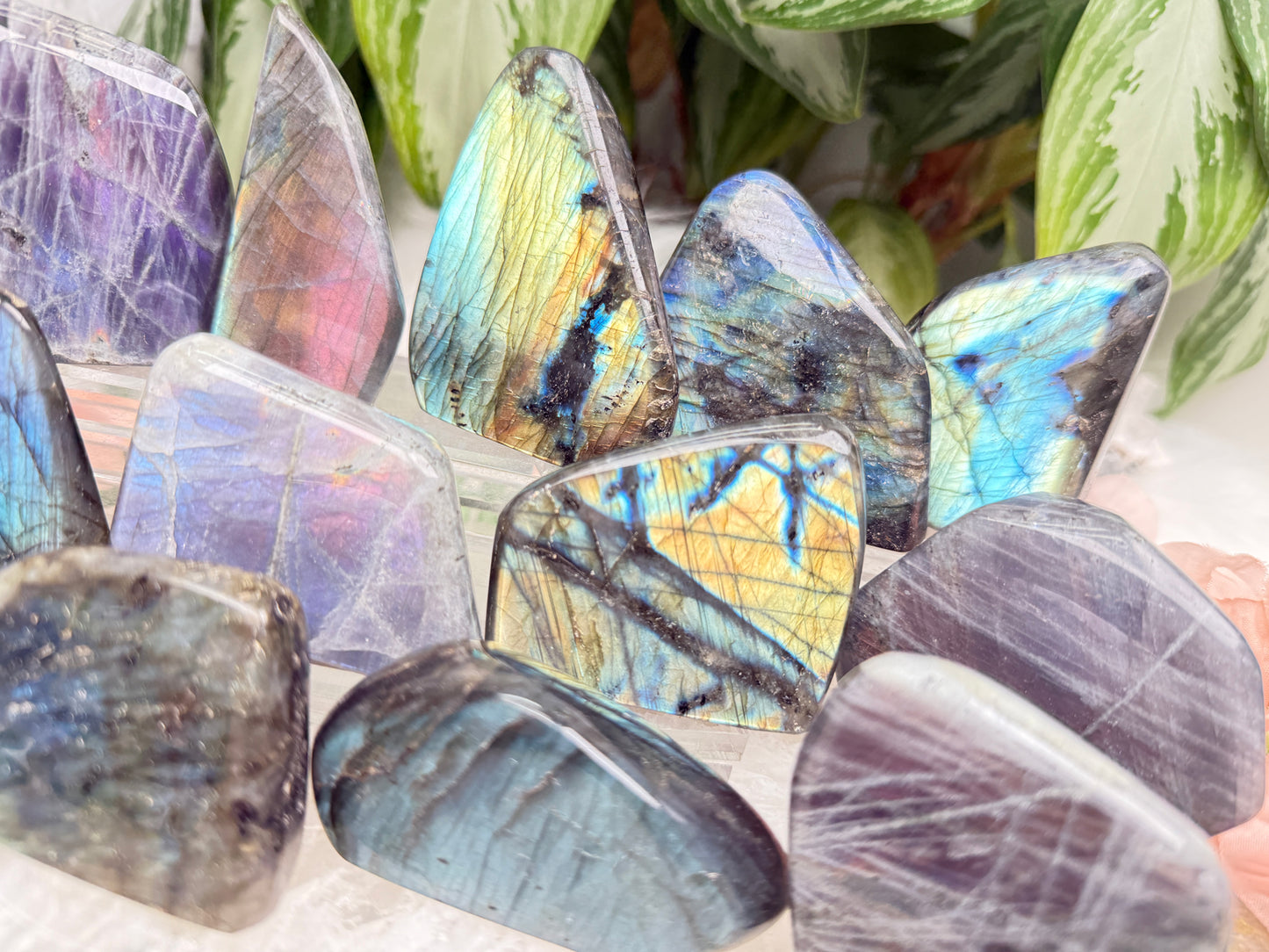 Colorful Labradorite