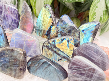 Colorful Labradorite