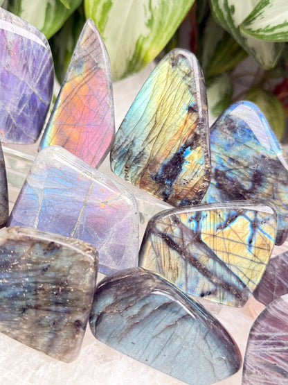 Colorful Labradorite
