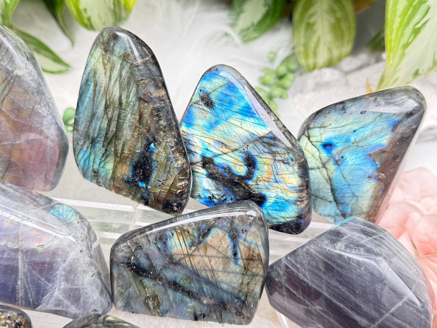 Colorful Labradorite