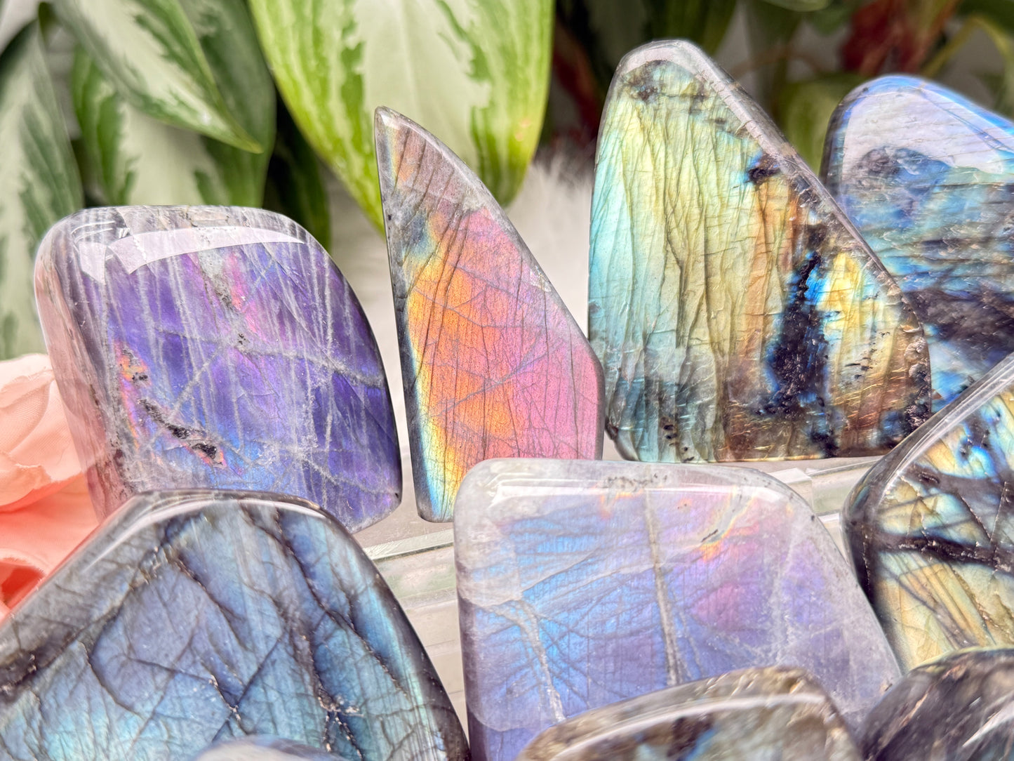 Colorful Labradorite