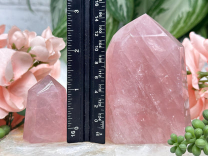 small-madagascar-rose-quartz-points