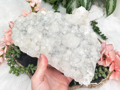 Large Apophyllite Chalcedony Clusters