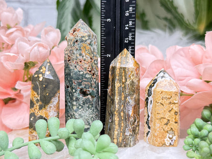 Small Ocean Jasper Points